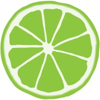 Lime Creative logo - Similar company to Infinity Concepts