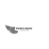 Peregrine Consulting logo - Similar company to Nextgen Investment Group