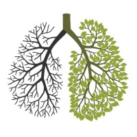 Green Lungs logo - Similar company to Greenlungs.In