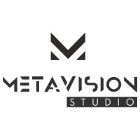 Metavision Studio logo - Similar company to Void Spark Studio