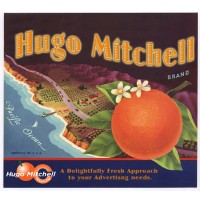 Hugo Mitchell Advertising
