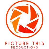 Picture This Productions logo - Similar company to Singer Studios