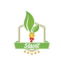 Slavit MX logo - Similar company to Xpand