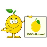 the lemon company logo - Similar company to Project Able