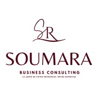 Soumara Business Consulting logo - Similar company to Laremo