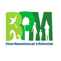 Biodiversity Partnership Mesoamerica BPM logo - Similar company to Servintesp