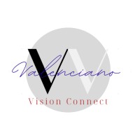 VVision Connect logo - Similar company to Manhattan Securitization Group Ltd.