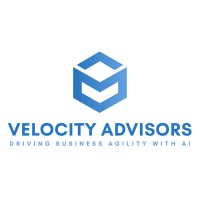 Velocity Advisors logo - Similar company to Synesis Insight