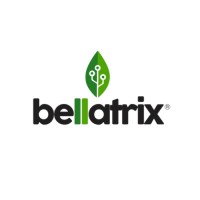 Bellatrix Tecnologia logo - Similar company to Sinapse Digital