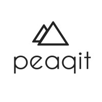 Peaqit AB logo - Similar company to Deep Thought Ab
