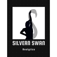 Silvern Swan Analytics LLC logo - Similar company to Summit Technology Affiliates, Llc