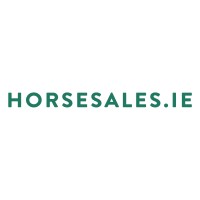 HorseSales.ie logo - Similar company to The Element