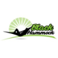Black Hammock logo - Similar company to Db Alliance Ltd