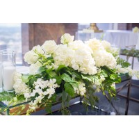 Timeless Creations Events logo - Similar company to 3Notes Management