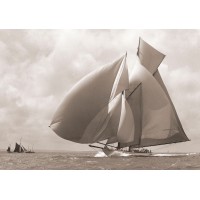Daniele Telara - LinkedIN page logo - Similar company to Visualhull