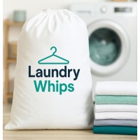 Laundry Whips logo - Similar company to Backflow Doctors