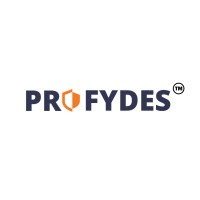 Profydes logo - Similar company to Mahalaxmi Finance
