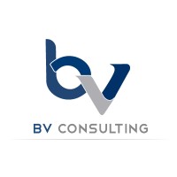 BV Consulting logo - Similar company to Bluevillas