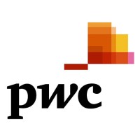 PwC Russia logo - Similar company to Fidem Research Group