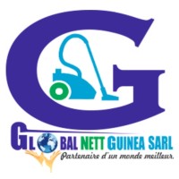 Global Nett Guinea logo - Similar company to Mapgis Group