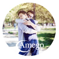Amego, Inc. logo - Similar company to Soar, Llc
