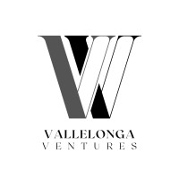 Vallelonga Ventures logo - Similar company to Ehs Restoration