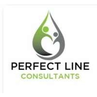 PlineLLC logo - Similar company to Perfect Line