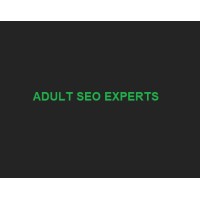 Adult SEO Experts logo - Similar company to Summit Models Management