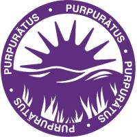 Purpurātus logo - Similar company to Intulog