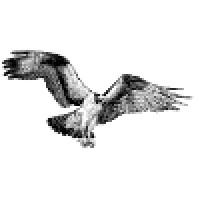 Sagg Creek Marketing