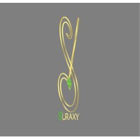 SURAXY logo - Similar company to Surax