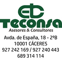 Asesoria Teconsa Caceres logo - Similar company to Gdg Cáceres