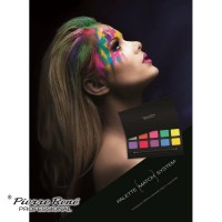 Pierre Rene Professional Cosmetics logo - Similar company to Dolfamex Sp. Z O.O.