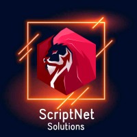 ScriptNet Solutions logo - Similar company to Fliptoons