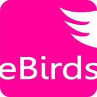 eBirds logo - Similar company to Ebird