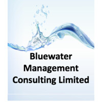Bluewater Management Consulting