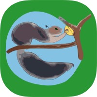 NaturalisT Foundation logo - Similar company to Ozone Experiential Learning