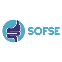 SOFSE.CL logo - Similar company to Sofse