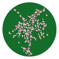 Biella Città Arcipelago logo - Similar company to Comune Di Biella