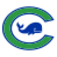 Connecticut Whale logo - Similar company to Buffalo Beauts