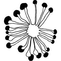 Regenerating Farms logo - Similar company to Nathan Wainwright