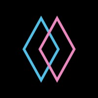 MetaVision logo - Similar company to Fai