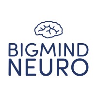 Big Mind Solutions logo - Similar company to Edublitz