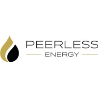 Peerless Energy Solutions logo - Similar company to One Source Logistics, Llc.