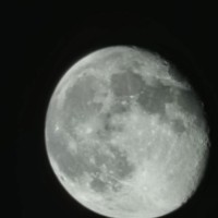 SDL logo - Similar company to Lipinski University