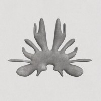 LifeOnVenus logo - Similar company to Lovecraft Paris