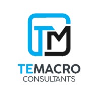TeMacro logo - Similar company to Pmc Zambia