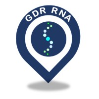 GDR RNA logo - Similar company to Junior Section Sfbbm