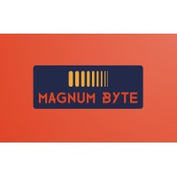 Magnum Byte logo - Similar company to Voonami, Inc.