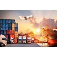 Vietnam Import - Export News logo - Similar company to Witthal Group